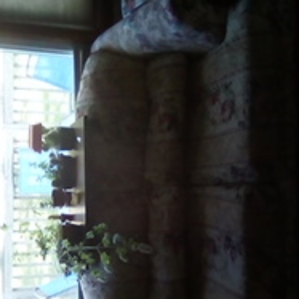 Love seat/ couch